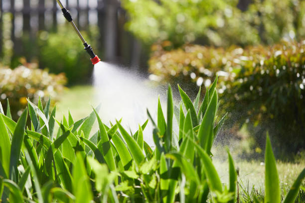 24/7 Emergency Fumigation Services experts in South Sioux City, NE